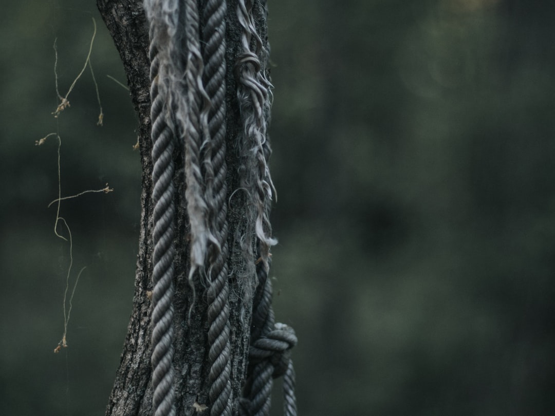 Read more about the article 埋線拉提懶人包：藍鑽魚骨線、神力拉提原理與維持時間