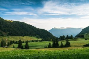 Read more about the article 感應式 給皂機 推薦品牌｜感應式給皂機沒挑對品牌會不衛生嗎？