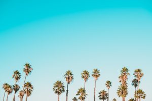 Read more about the article 保潔墊 推薦｜2025 保潔墊推薦榜單：防水、防蟎一次評比